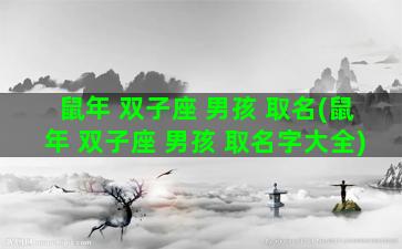 鼠年 双子座 男孩 取名(鼠年 双子座 男孩 取名字大全)